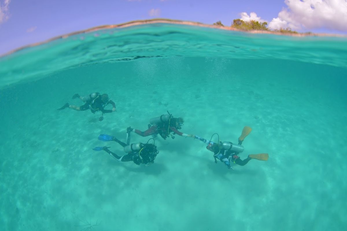 Palanquée de débutants en eau peu profonde vue à demi sous l'eau, Curaçao.