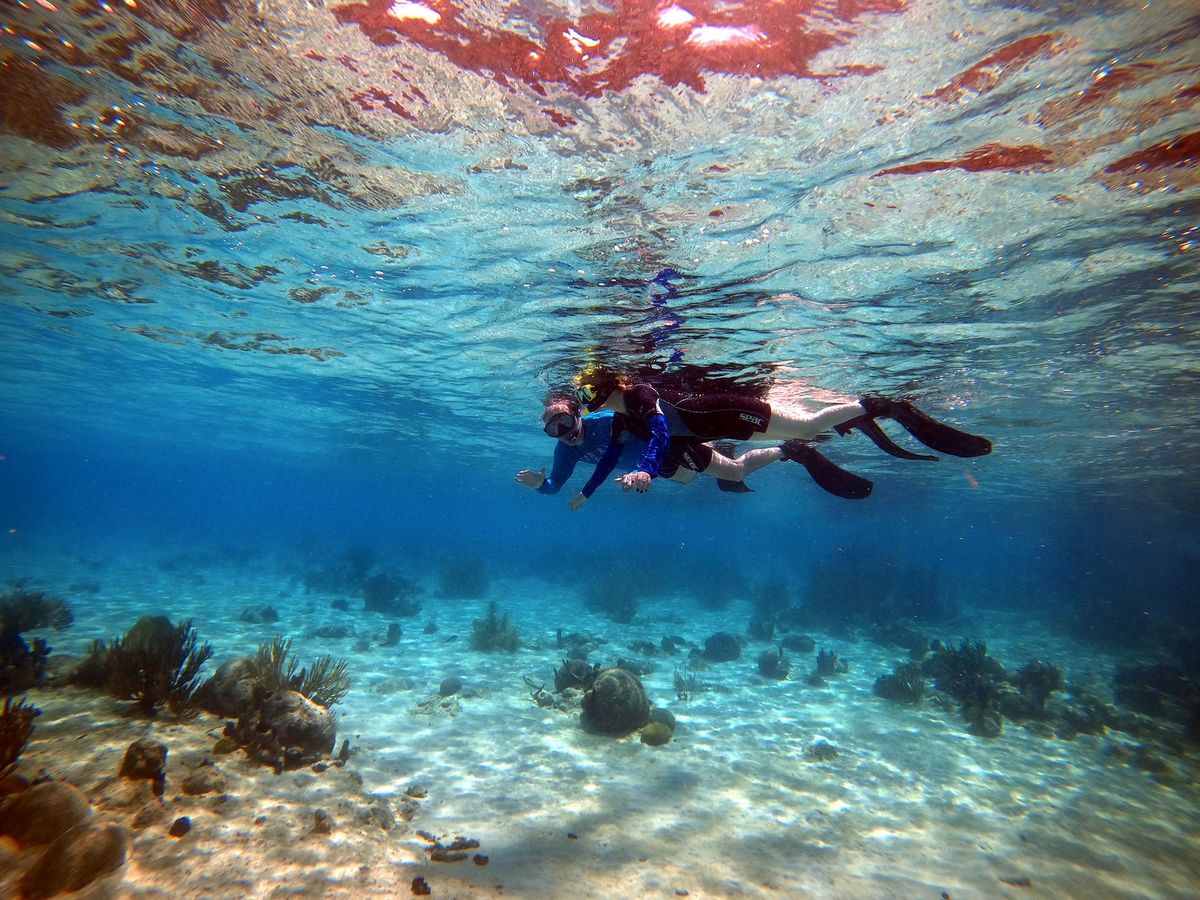 Groupe en snorkeling au-dessus d'un fond corallien, vu sous l'eau à Curaçao.