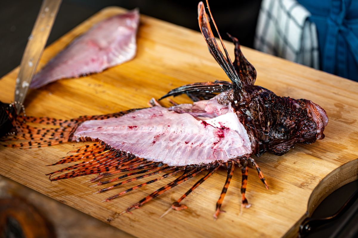 Poisson-lion préparé sur une planche de bois avant la dégustation, à Curaçao.