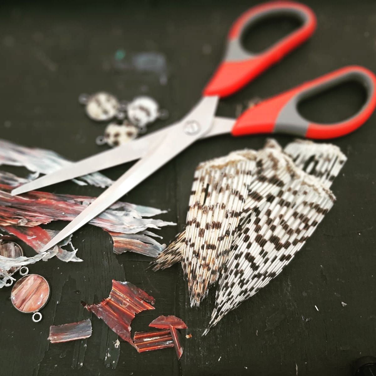 Ciseaux et pièces de nageoires de poisson-lion sur l'établi de l'atelier, Curaçao.