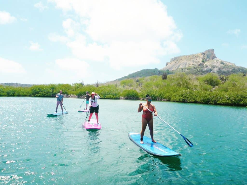 Groupe en paddle board glissant dans la mangrove face au Tafelberg, Curaçao.