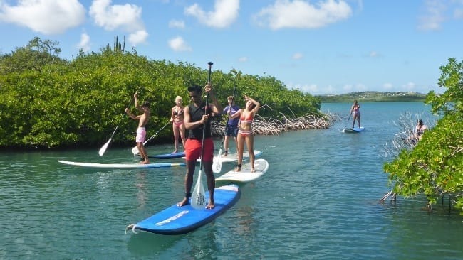 Groupe de paddleurs progressant dans le chenal de la mangrove, à Curaçao.