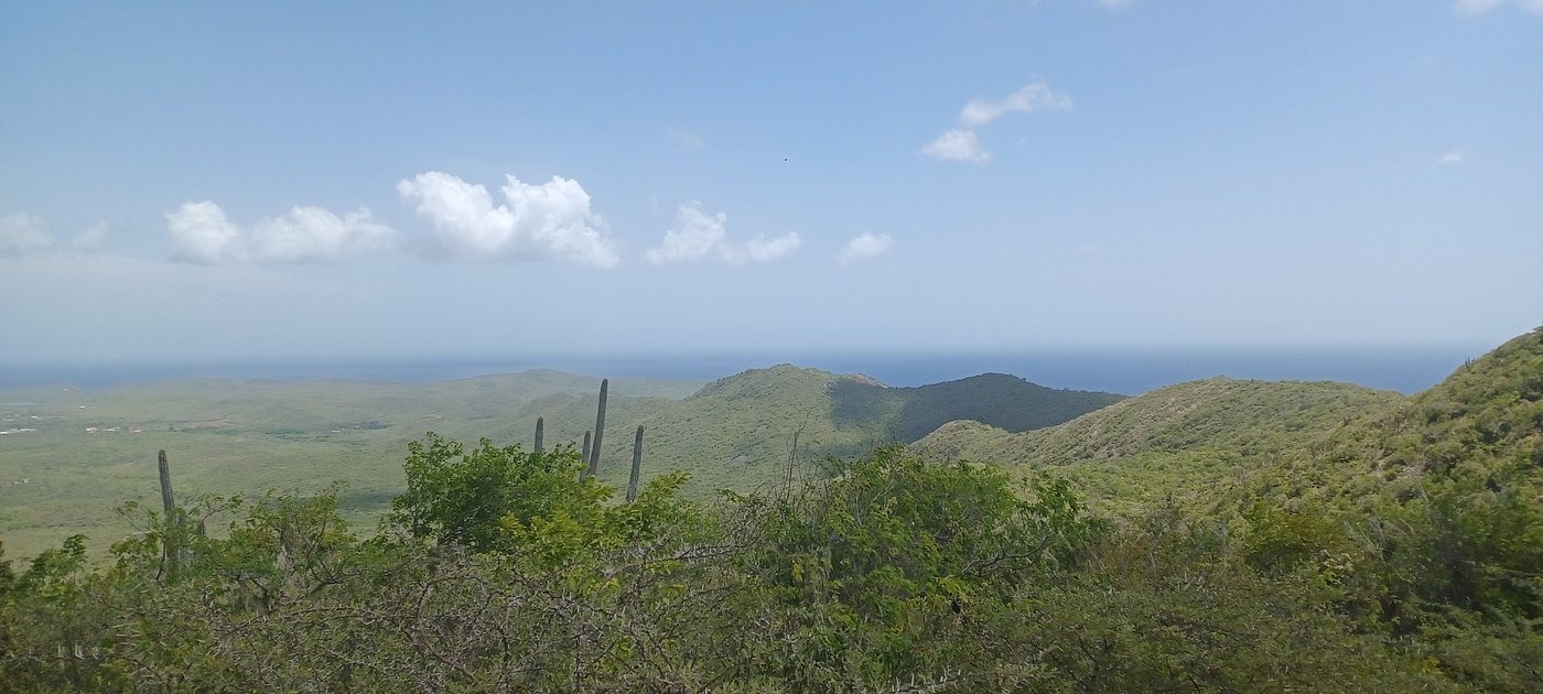 Paysage de cactus et collines du parc national Christoffel, à Curaçao.