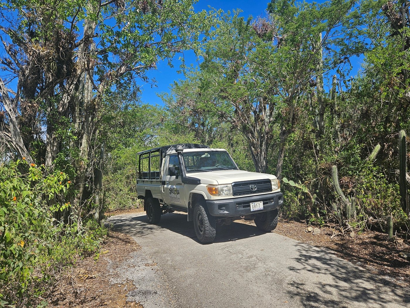 4x4 progressant sur une route étroite du parc national Christoffel, Curaçao.